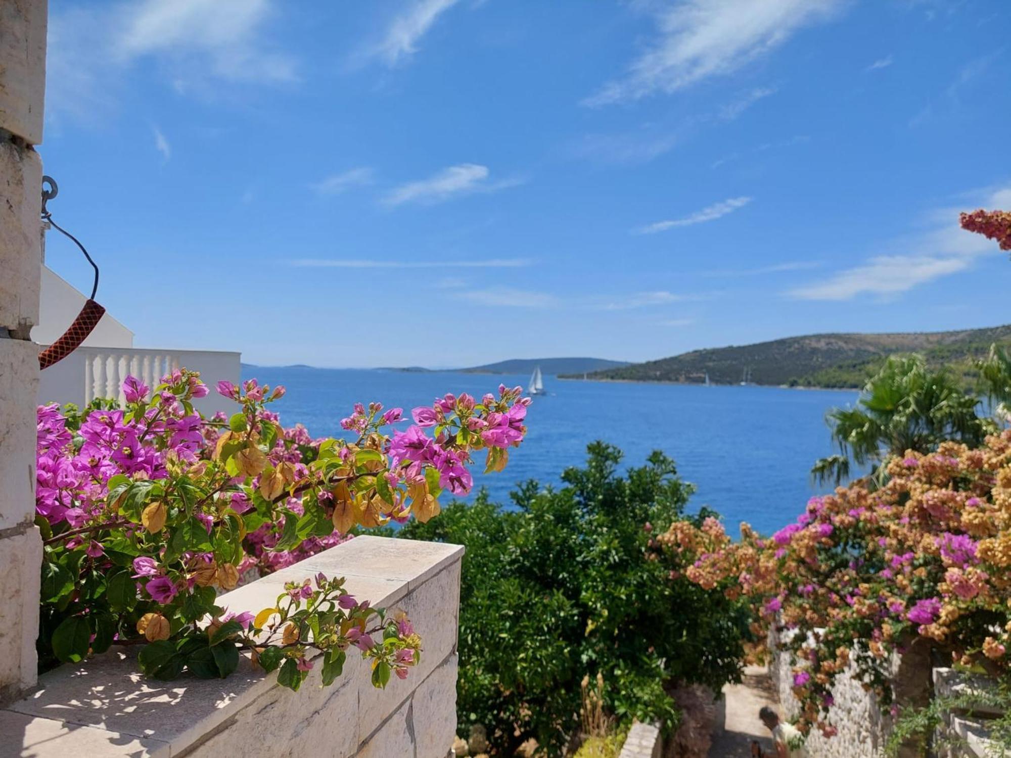 Villa Apartments Oliva Seget Vranjica Exteriér fotografie